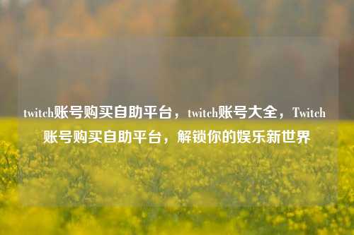 twitch账号购买自助平台，twitch账号大全，Twitch 账号购买自助平台，解锁你的娱乐新世界