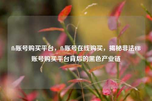 fb账号购买平台，fb账号在线购买，揭秘非法FB账号购买平台背后的黑色产业链