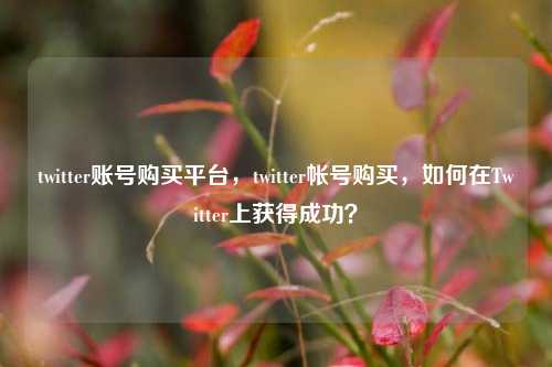 twitter账号购买平台，twitter帐号购买，如何在Twitter上获得成功？