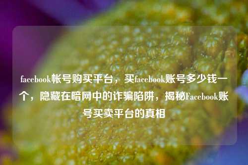 facebook帐号购买平台，买facebook账号多少钱一个，隐藏在暗网中的诈骗陷阱，揭秘Facebook账号买卖平台的真相