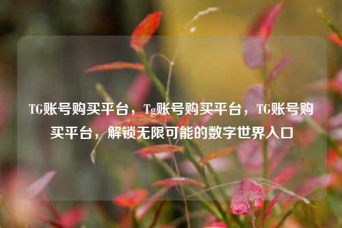 TG账号购买平台，Tg账号购买平台，TG账号购买平台，解锁无限可能的数字世界入口