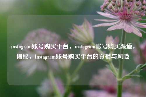 instagram账号购买平台，instagram账号购买渠道，揭秘，Instagram账号购买平台的真相与风险