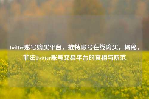twitter账号购买平台，推特账号在线购买，揭秘，非法Twitter账号交易平台的真相与防范