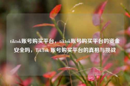 tiktok账号购买平台，tiktok账号购买平台的资金安全吗，TikTok 账号购买平台的真相与挑战