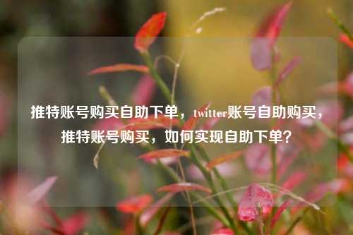 推特账号购买自助下单，twitter账号自助购买，推特账号购买，如何实现自助下单？