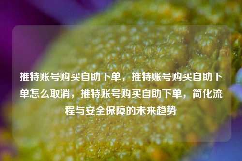 推特账号购买自助下单，推特账号购买自助下单怎么取消，推特账号购买自助下单，简化流程与安全保障的未来趋势