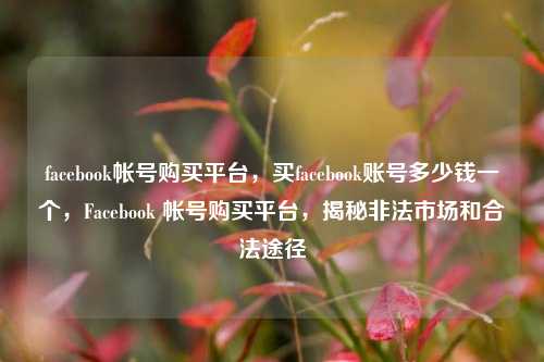 facebook帐号购买平台，买facebook账号多少钱一个，Facebook 帐号购买平台，揭秘非法市场和合法途径