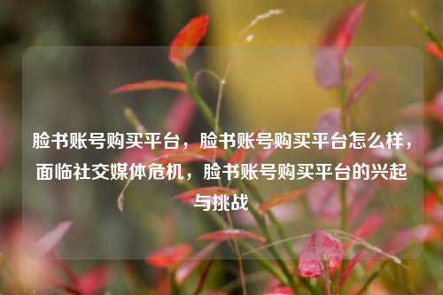 脸书账号购买平台，脸书账号购买平台怎么样，面临社交媒体危机，脸书账号购买平台的兴起与挑战