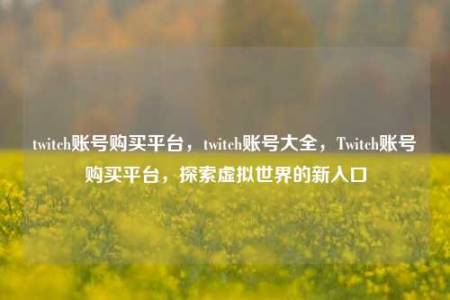 twitch账号购买平台，twitch账号大全，Twitch账号购买平台，探索虚拟世界的新入口