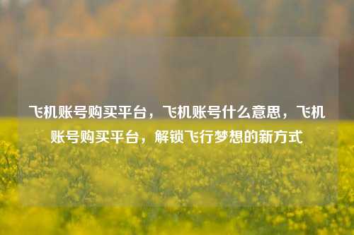 飞机账号购买平台，飞机账号什么意思，飞机账号购买平台，解锁飞行梦想的新方式