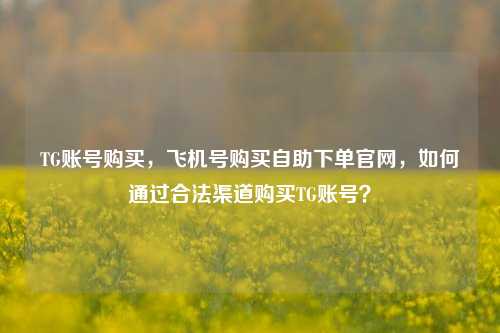 TG账号购买，飞机号购买自助下单官网，如何通过合法渠道购买TG账号？