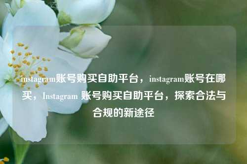instagram账号购买自助平台，instagram账号在哪买，Instagram 账号购买自助平台，探索合法与合规的新途径