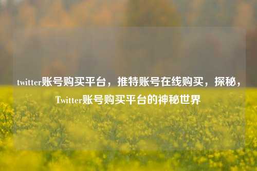 twitter账号购买平台，推特账号在线购买，探秘，Twitter账号购买平台的神秘世界