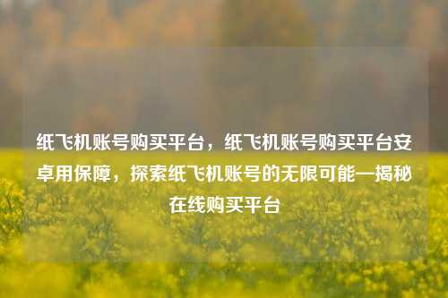 纸飞机账号购买平台，纸飞机账号购买平台安卓用保障，探索纸飞机账号的无限可能—揭秘在线购买平台
