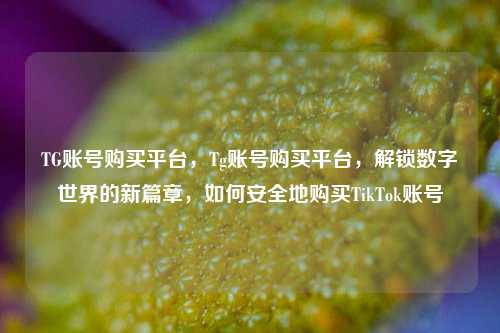 TG账号购买平台，Tg账号购买平台，解锁数字世界的新篇章，如何安全地购买TikTok账号
