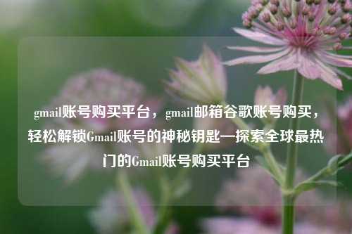 gmail账号购买平台，gmail邮箱谷歌账号购买，轻松解锁Gmail账号的神秘钥匙—探索全球最热门的Gmail账号购买平台