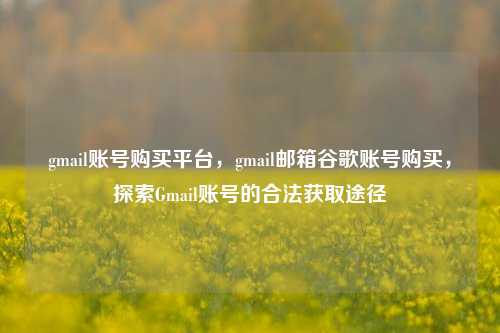 gmail账号购买平台，gmail邮箱谷歌账号购买，探索Gmail账号的合法获取途径