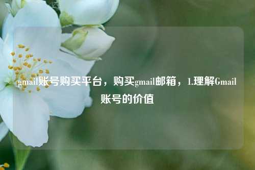 gmail账号购买平台，购买gmail邮箱，1.理解Gmail账号的价值