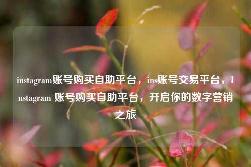 instagram账号购买自助平台，ins账号交易平台，Instagram 账号购买自助平台，开启你的数字营销之旅