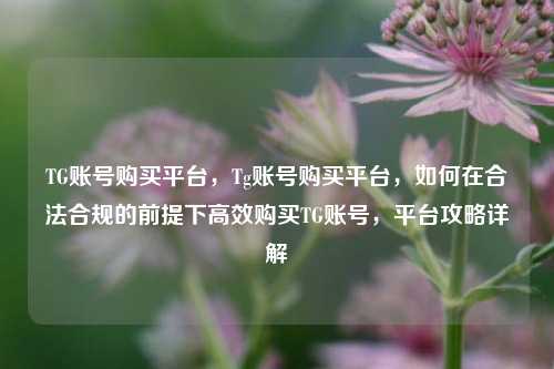 TG账号购买平台，Tg账号购买平台，如何在合法合规的前提下高效购买TG账号，平台攻略详解