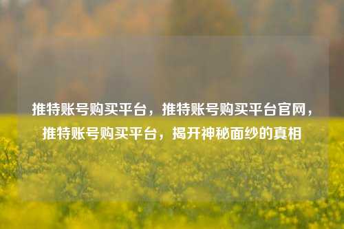 推特账号购买平台，推特账号购买平台官网，推特账号购买平台，揭开神秘面纱的真相