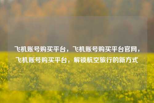 飞机账号购买平台，飞机账号购买平台官网，飞机账号购买平台，解锁航空旅行的新方式
