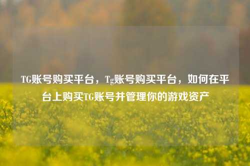 TG账号购买平台，Tg账号购买平台，如何在平台上购买TG账号并管理你的游戏资产