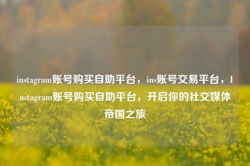 instagram账号购买自助平台，ins账号交易平台，Instagram账号购买自助平台，开启你的社交媒体帝国之旅