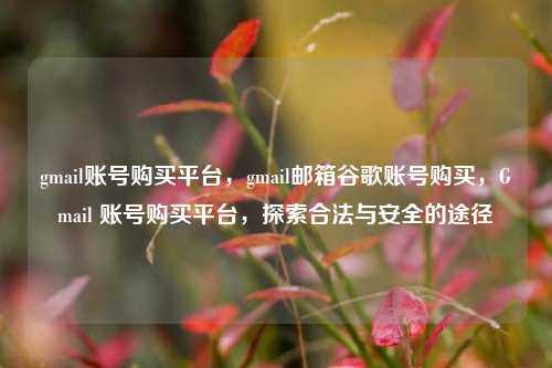 gmail账号购买平台，gmail邮箱谷歌账号购买，Gmail 账号购买平台，探索合法与安全的途径