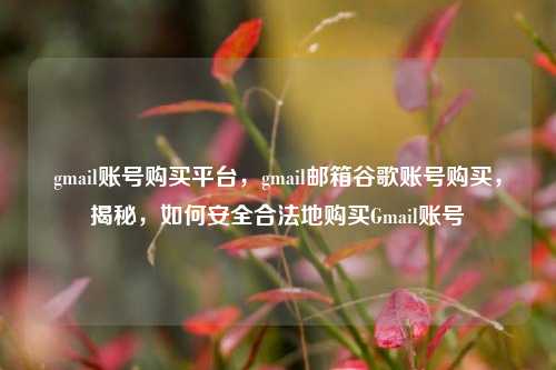 gmail账号购买平台，gmail邮箱谷歌账号购买	，揭秘，如何安全合法地购买Gmail账号  第1张