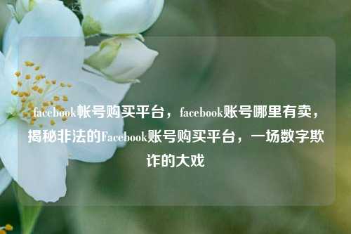 facebook帐号购买平台，facebook账号哪里有卖，揭秘非法的Facebook账号购买平台	，一场数字欺诈的大戏  第1张