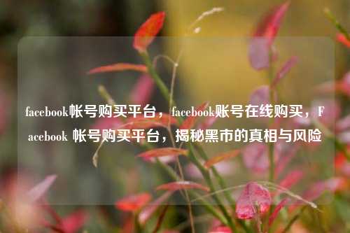 facebook帐号购买平台，facebook账号在线购买，Facebook 帐号购买平台，揭秘黑市的真相与风险