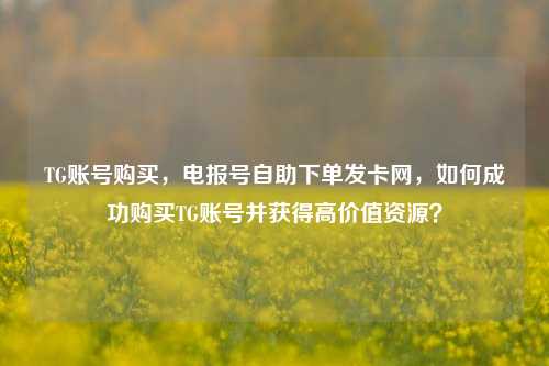 TG账号购买，电报号自助下单发卡网，如何成功购买TG账号并获得高价值资源？