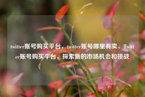 twitter账号购买平台，twitter账号哪里有卖，Twitter账号购买平台，探索新的市场机会和挑战