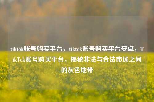 tiktok账号购买平台，tiktok账号购买平台安卓，TikTok账号购买平台，揭秘非法与合法市场之间的灰色地带