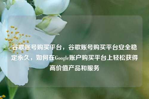 谷歌账号购买平台，谷歌账号购买平台安全稳定永久，如何在Google账户购买平台上轻松获得高价值产品和服务