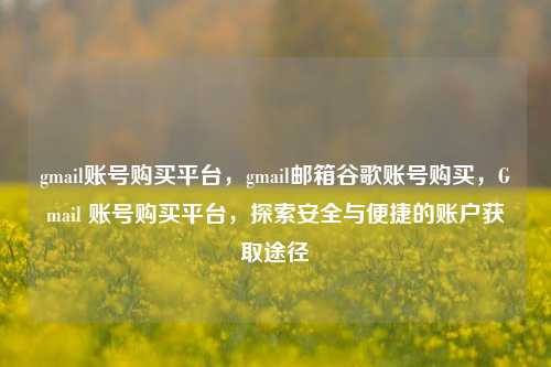 gmail账号购买平台，gmail邮箱谷歌账号购买，Gmail 账号购买平台，探索安全与便捷的账户获取途径
