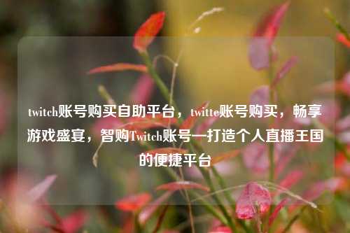 twitch账号购买自助平台，twitte账号购买，畅享游戏盛宴，智购Twitch账号—打造个人直播王国的便捷平台