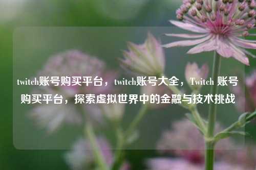 twitch账号购买平台，twitch账号大全，Twitch 账号购买平台，探索虚拟世界中的金融与技术挑战