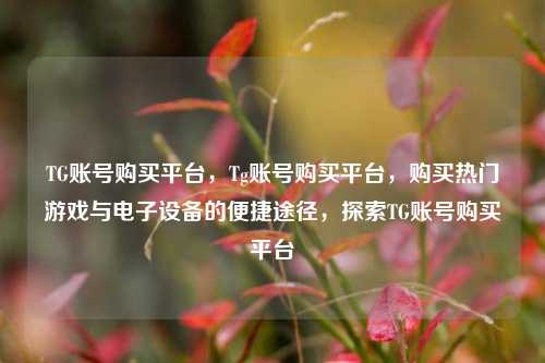 TG账号购买平台，Tg账号购买平台，购买热门游戏与电子设备的便捷途径，探索TG账号购买平台