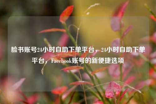 脸书账号24小时自助下单平台，24小时自助下单平台，Facebook账号的新便捷选项