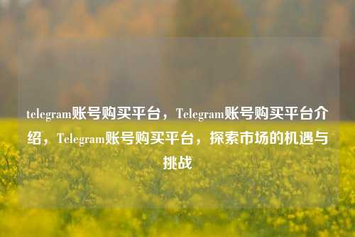 telegram账号购买平台，Telegram账号购买平台介绍，Telegram账号购买平台，探索市场的机遇与挑战