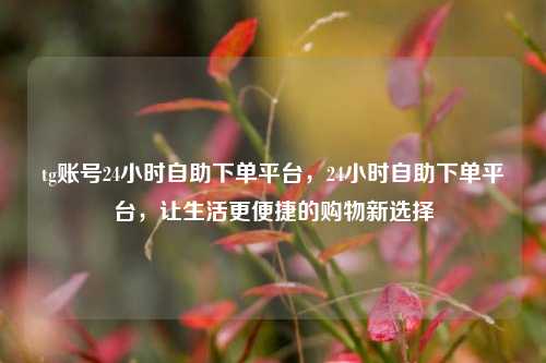 tg账号24小时自助下单平台，24小时自助下单平台，让生活更便捷的购物新选择