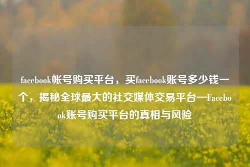 facebook帐号购买平台，买facebook账号多少钱一个，揭秘全球最大的社交媒体交易平台—Facebook账号购买平台的真相与风险