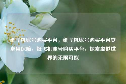 纸飞机账号购买平台，纸飞机账号购买平台安卓用保障，纸飞机账号购买平台，探索虚拟世界的无限可能