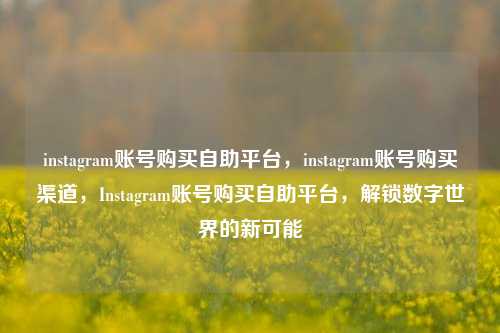 instagram账号购买自助平台，instagram账号购买渠道，Instagram账号购买自助平台，解锁数字世界的新可能