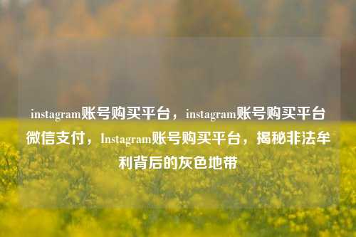 instagram账号购买平台，instagram账号购买平台微信支付，Instagram账号购买平台，揭秘非法牟利背后的灰色地带