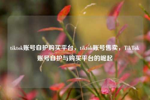tiktok账号自护购买平台，tiktok账号售卖，TikTok账号自护与购买平台的崛起