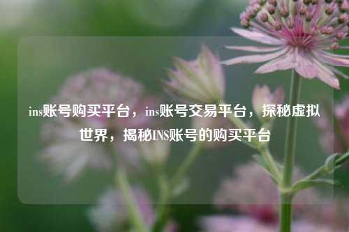 ins账号购买平台，ins账号交易平台，探秘虚拟世界，揭秘INS账号的购买平台