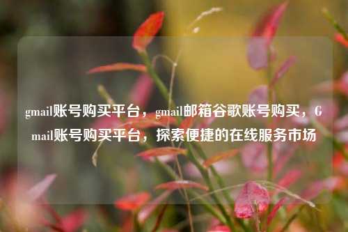 gmail账号购买平台，gmail邮箱谷歌账号购买，Gmail账号购买平台，探索便捷的在线服务市场
